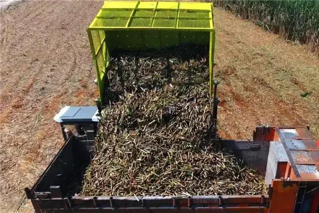 黄金搭档甜蜜相约—中联重科AS60甘蔗机+转运车开启蔗收新模式