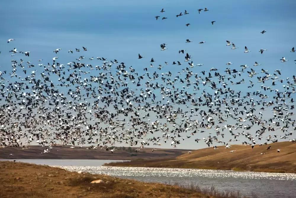 2018加拿大签证新政策是什么样的,2017加拿大签证攻略