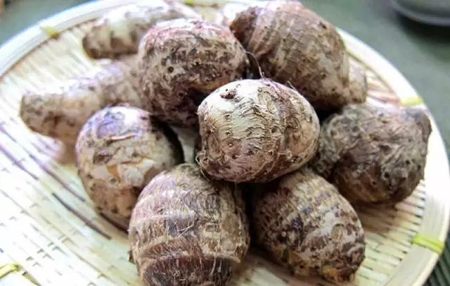 香芋和芋头的区别口感,海芋芋头的区别