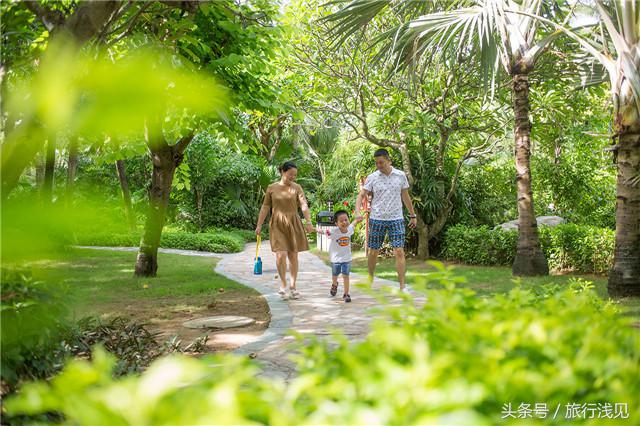 陪伴才是对孩子最好的祝福,陪伴才是给孩子最好的教育