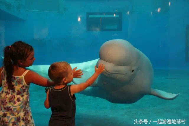 台湾八天自由行攻略,台湾亲子自由行攻略