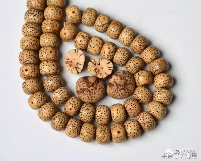 文玩菩提的套路,文玩菩提的技巧