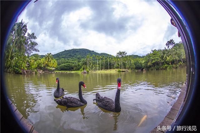 陪伴才是对孩子最好的祝福,陪伴才是给孩子最好的教育