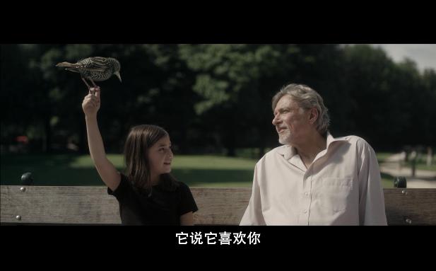 用传统来反传统,用传统打破传统