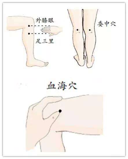 预防膝盖疼痛的爬山方法,爬山怎么不伤膝