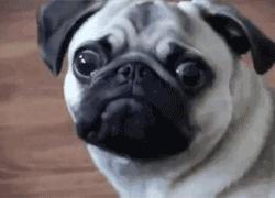 快来看看你是老板命还是打工命,来看看你是女神还是女汉子吧