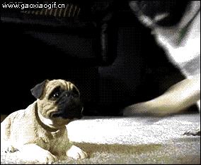 治牙疼幽默搞笑,搞笑段子你是不是有病去医院看