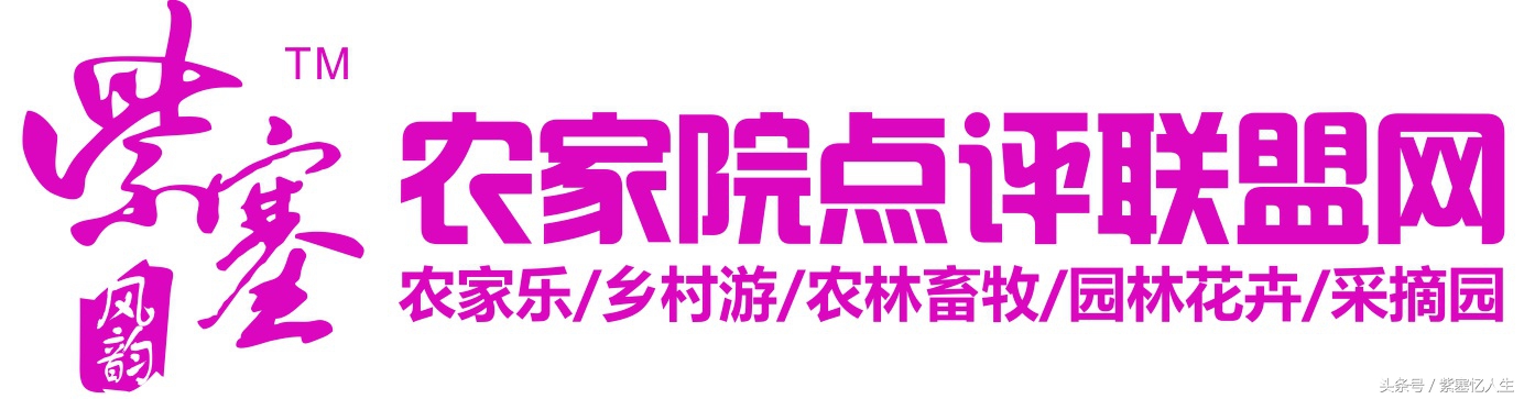 九山顶农家院旅游攻略,紫塞县农家院旅游