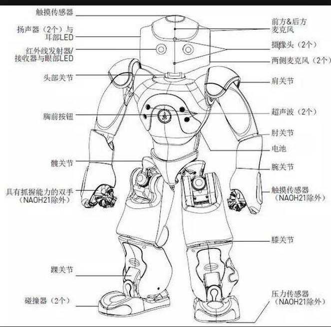 机器人市场容量的变化趋势及前景,分析机器人行业的发展前景