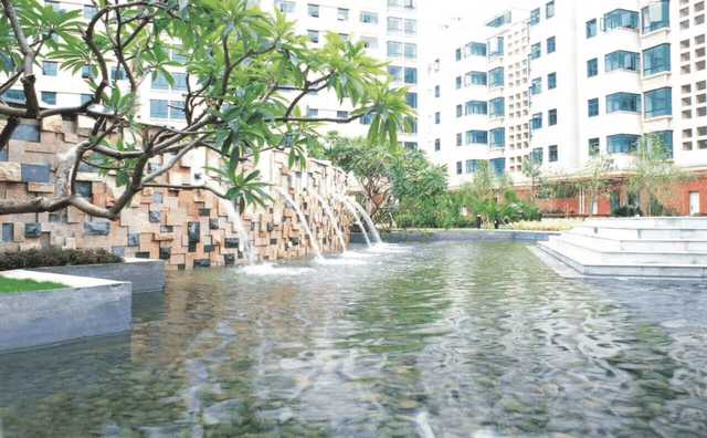 顺德美食排行榜前十糕点伦教糕,中国顺德传统特色糕点之伦教糕