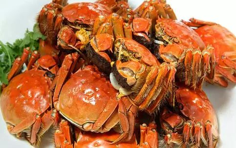 死螃蟹不能吃为什么冷冻的可以吃,冻螃蟹和死螃蟹能吃吗