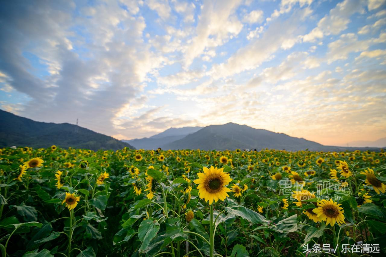聚美金沙滩附近哪里好玩,聚美金沙滩攻略