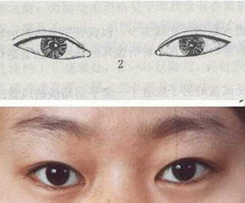 怎么知道你的眼型是哪种,99%的人不知道自己什么眼型