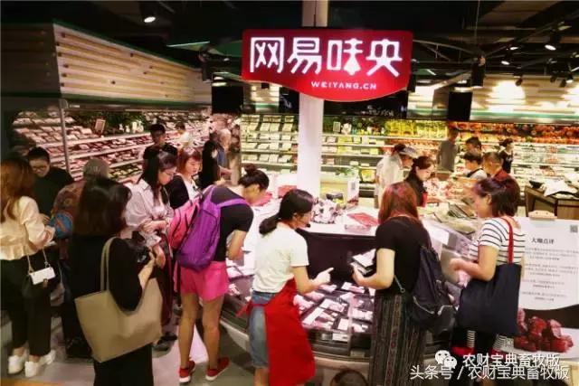 丁磊推荐的猪肉,丁磊卖的猪肉