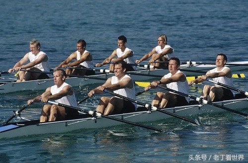 世界10大体育运动,在中国最受欢迎的十大体育运动