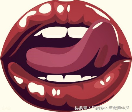 “舔式疗法”能为我们疗伤治病,可惜很多人不知