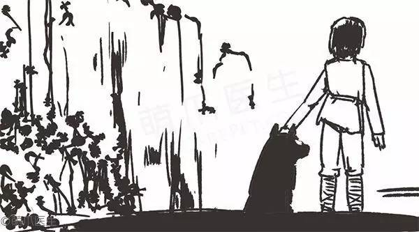 祸黑犬缘为哪般，察端倪智用乳齿