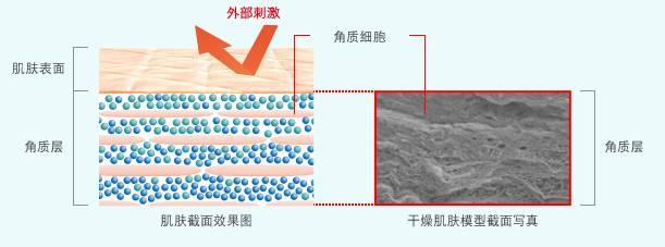 珂润卸妆蜜使用步骤,相见恨晚的化妆品护肤品