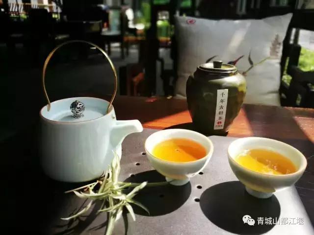 四川旅游一条很直的公路,四川唯一一条有路灯的高速公路