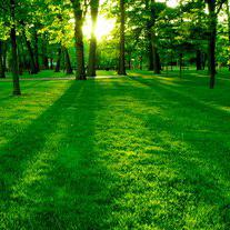 刘强东案最新进展，视频中无耻女勾搭在前，“仙人跳”玩我东哥