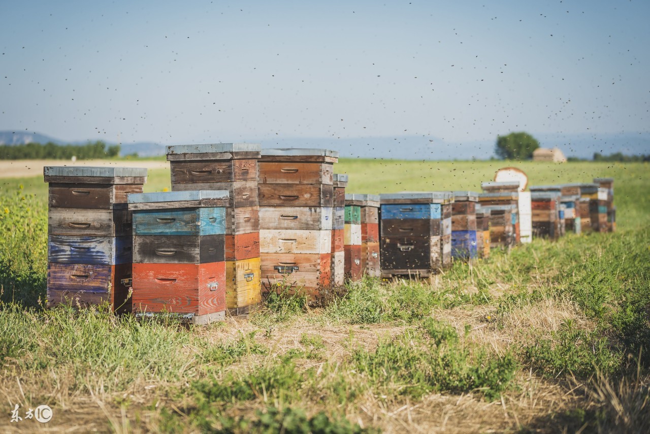 蜂箱内部结构制作方法,蜂箱结构图详细说明