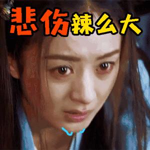 荷兰猪第一次下水洗澡,荷兰猪洗完澡第二天死亡