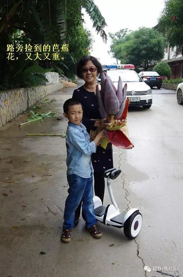 房车云南自驾游,房车自驾游云南过冬攻略