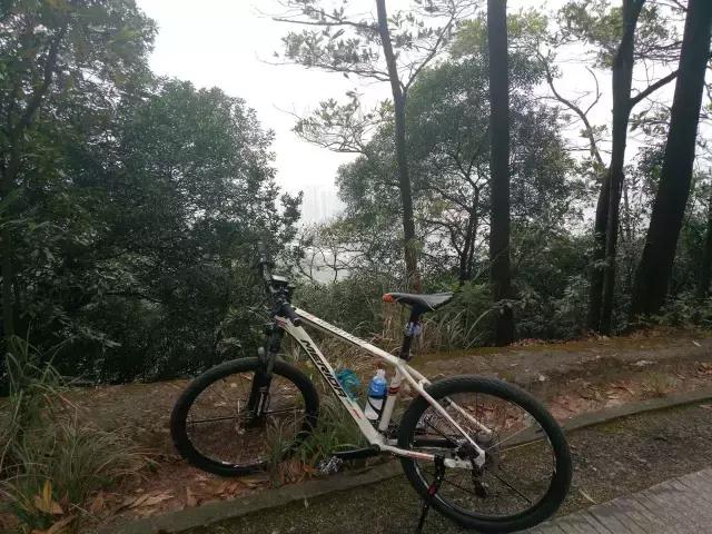 你为什么非要喜欢摩托车,年轻人为何爱上骑行