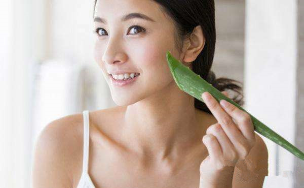 市面上芦荟胶没有效果?不如用生芦荟来敷脸,5个方法来自制面膜