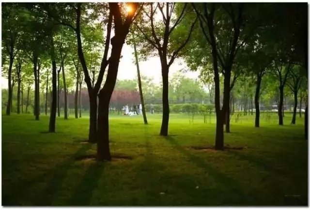 去郑州哪里旅游最便宜又好玩,郑州值得旅游的地方有哪些