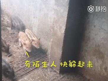 员工辞职理由怎么写,员工辞职申请需要审批吗