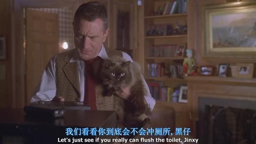 可爱猫咪动画片有哪些,十大可爱的猫咪动画片