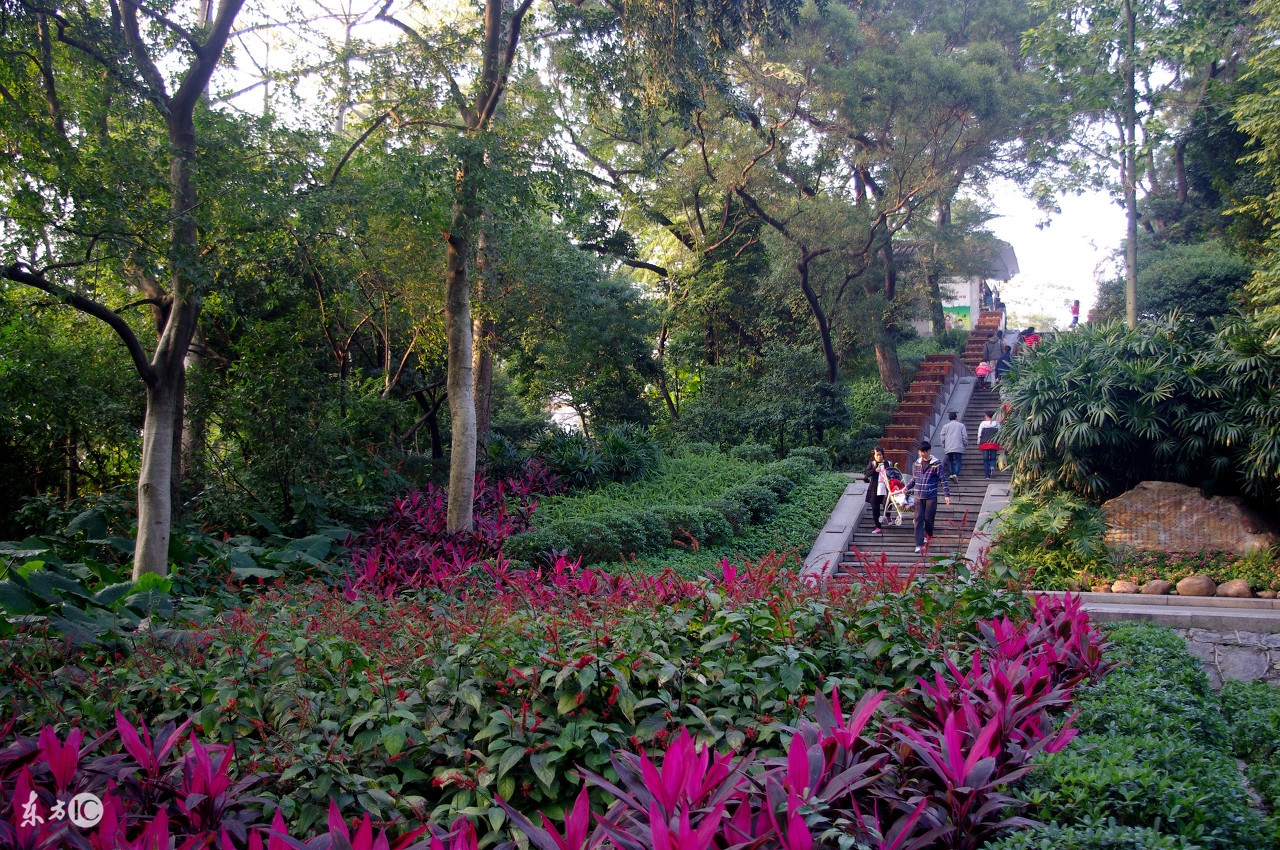 兰州兰山公园游乐,让我带你游山玩水作文