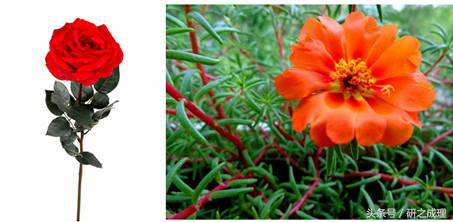 学术写作格式,学术写作常见的句子