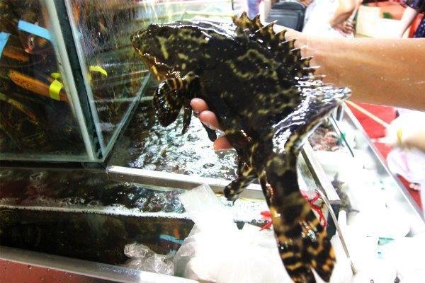 北纬18度的爱意味着什么,北纬18度的爱