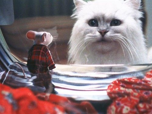 十部顶级喵星人动画片,猫咪动画片视频大全