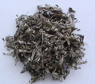 艾灸后瘀血从哪里排,艾灸腰腺肌症排出大量淤血块