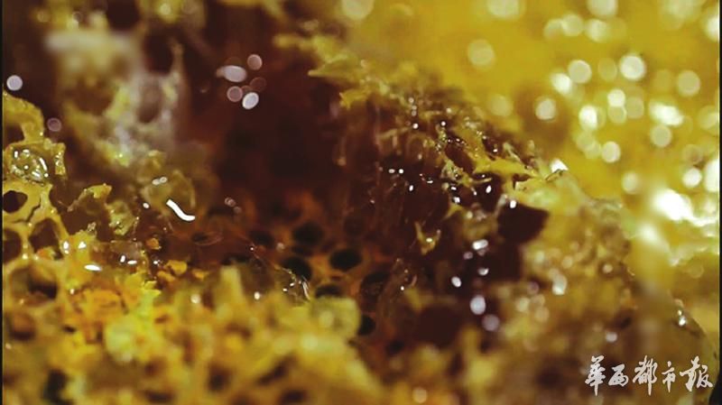 舌尖上的甜蜜探馆,舌尖上的甜蜜