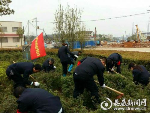 娄底市园林管理处,弯腰行动树校园新风