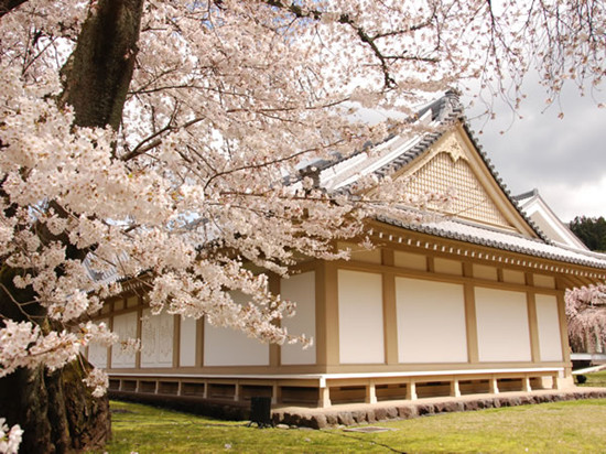 日本樱花季赏樱全攻略,赏樱攻略全部