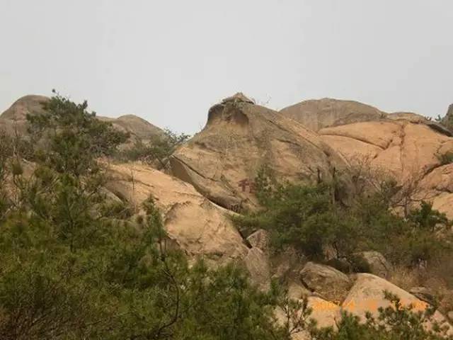 乳山大秧歌历史渊源,乳山旱稻