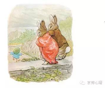 彼得兔的经典故事8册,彼得兔的故事书目推荐