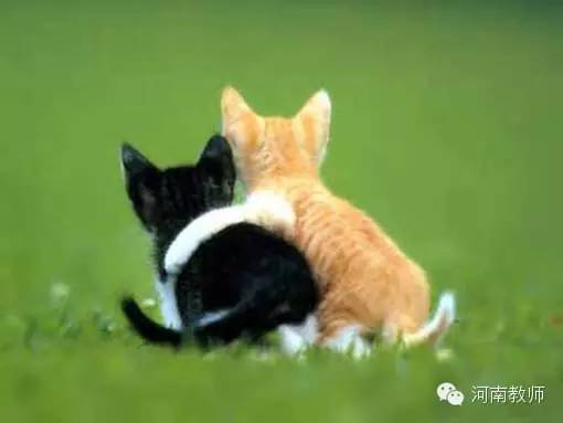 工作不顺心憋屈想提前退休,工作量太大很累主动提出辞职