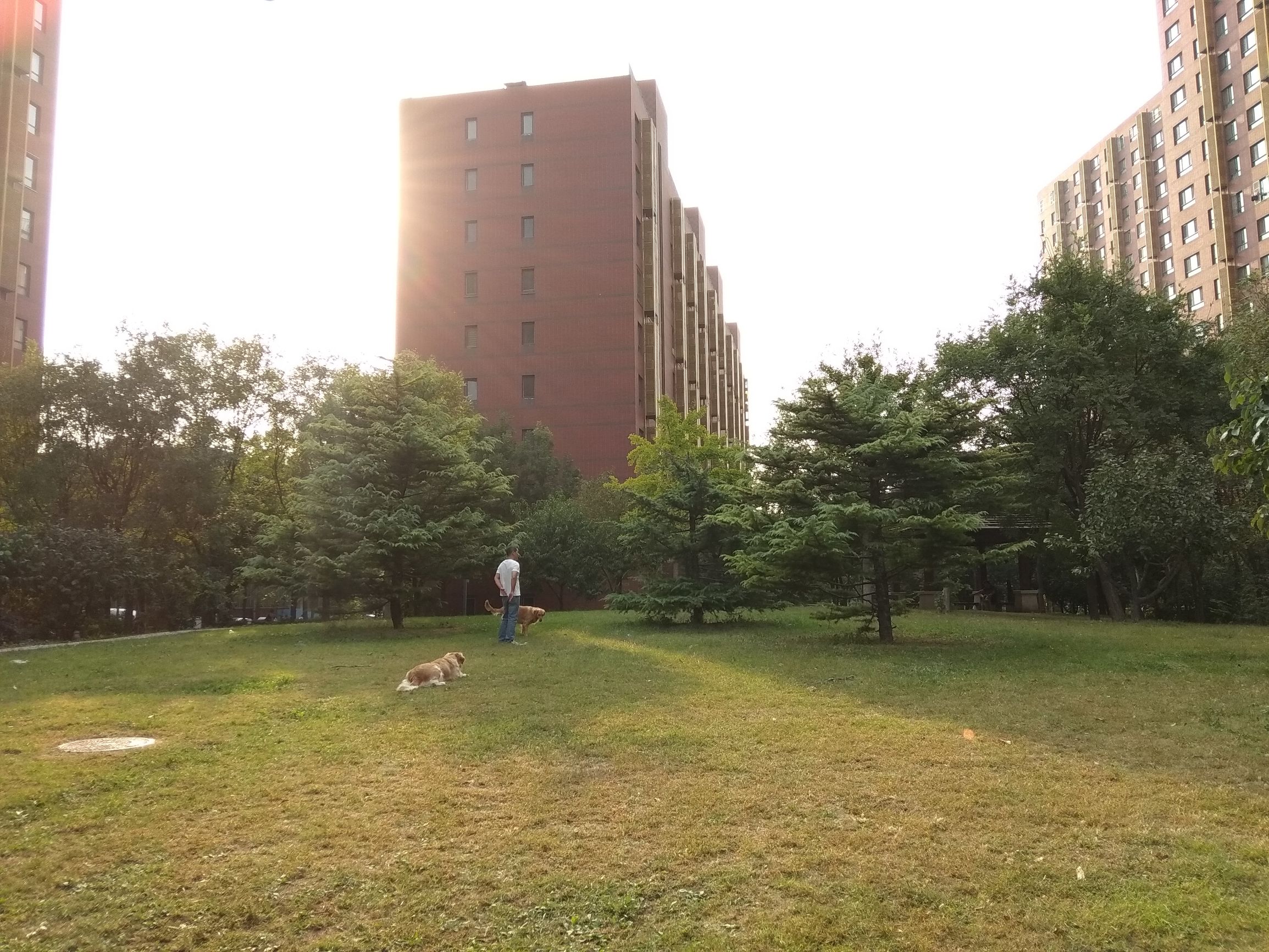 不吹不黑，699的小米Note5A你还要它怎样？