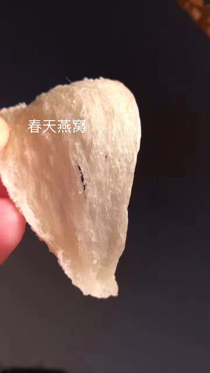 燕窝知识及鉴别哪种燕窝最好,燕窝的泡法来分辨燕窝的好坏