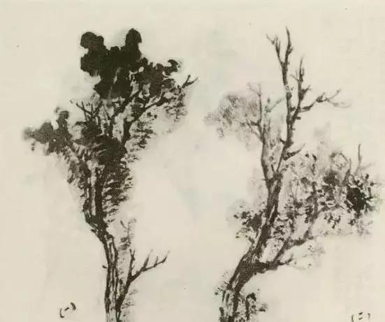 怎么画树最简单而且还最好看,怎么样才能画树画的最好看