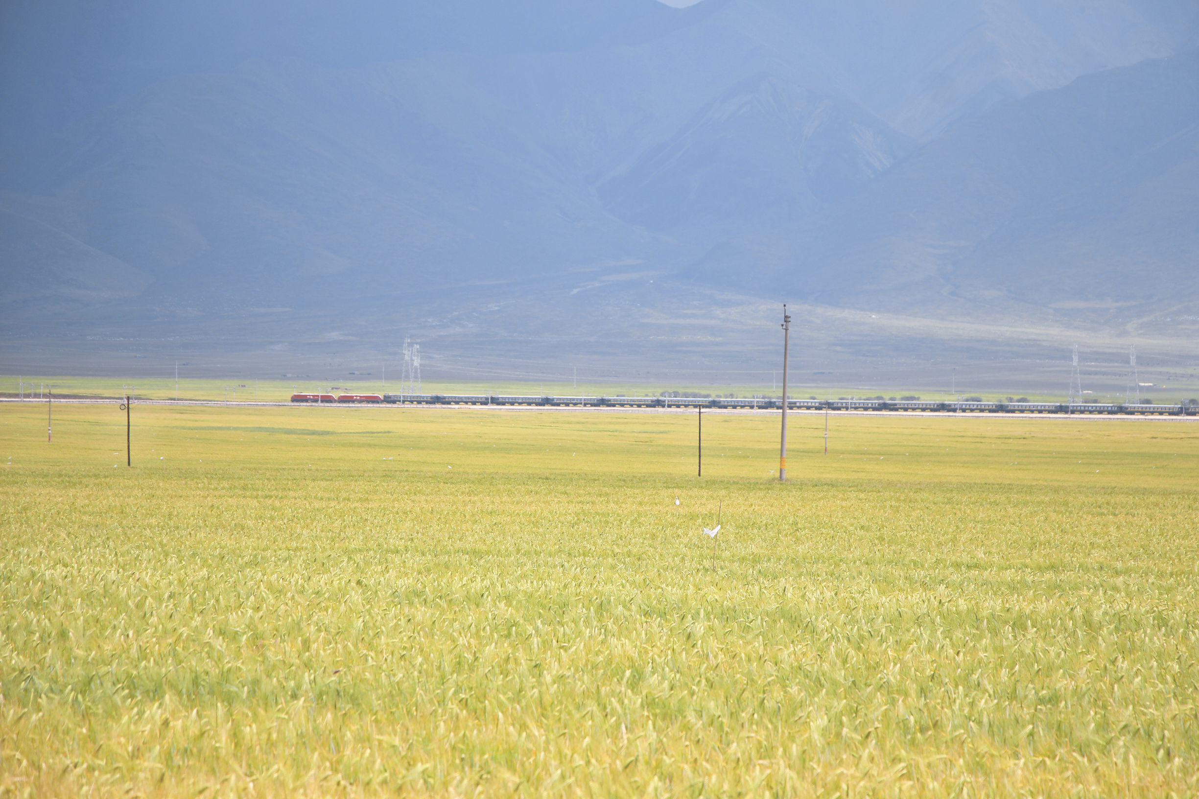 青海湖|为了去这地儿我辞了7个月的工作