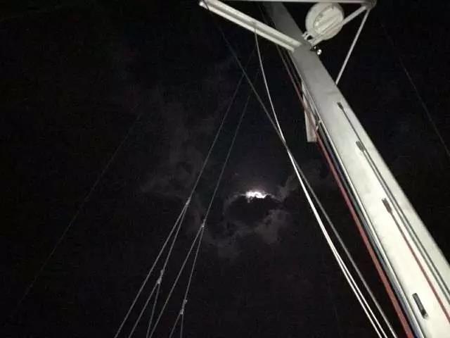 teamLab你颤抖吧!《艺术航海大型回顾展》强势登陆