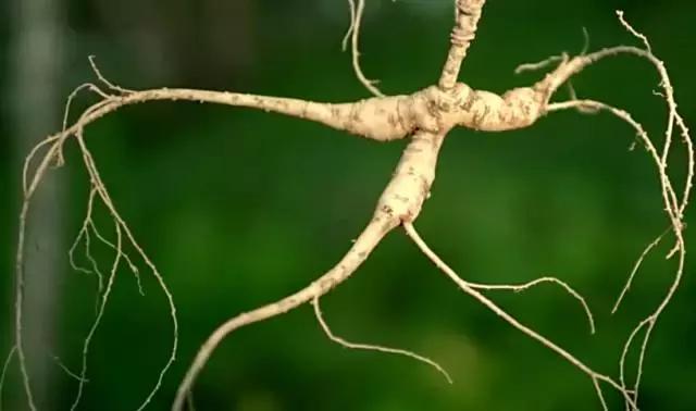 8.9,我们的片终于抢在韩国人前面