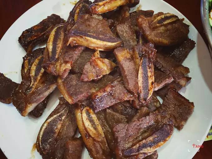 做一只治愈的猫,做一只快乐的柴犬